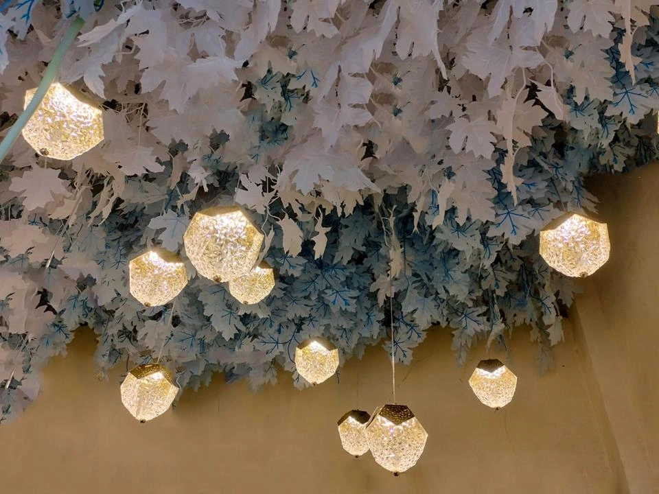 Hanging Lotus Set Of 10